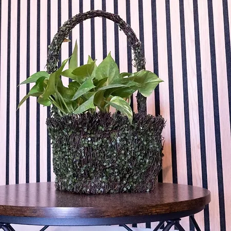 Tiny Daisy House Апартаменты