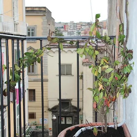 Tiny Daisy House Neapel